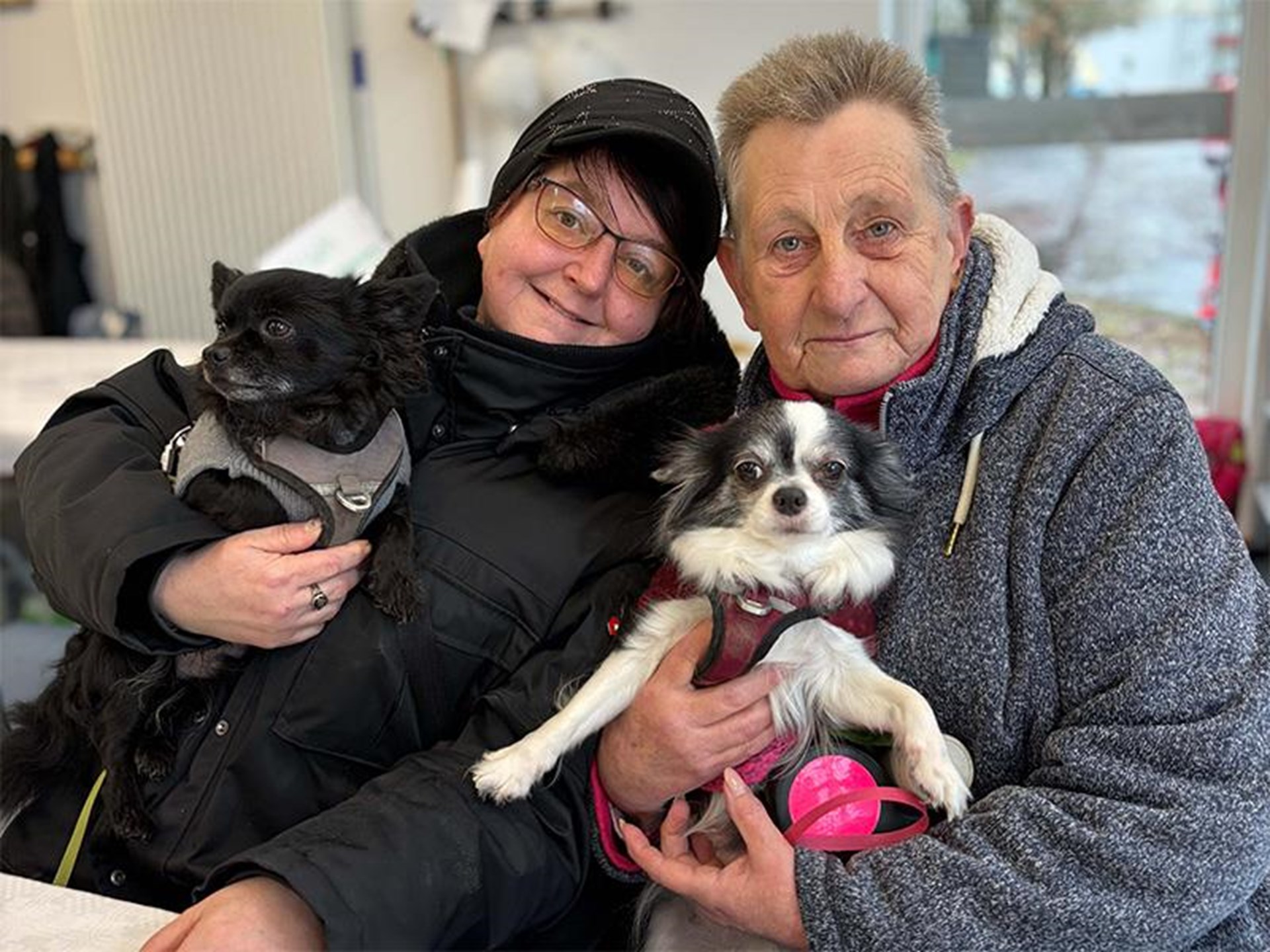 zwei Menschen in Winterkleidung mit Hunden auf dem Arm