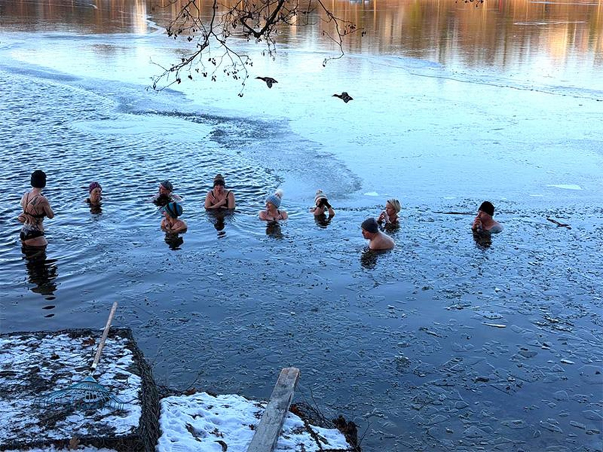 Menschen baden in einem winterlichen See, der teils vereist ist